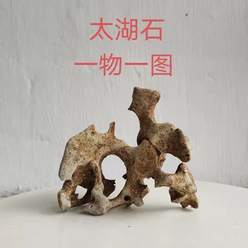 广西天然墨石太湖石-广西天然墨石太湖石促销价格、广西天然墨石太湖石