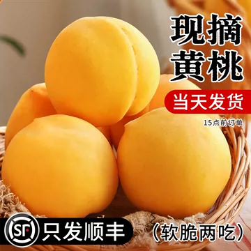 黄桃鲜果现摘现发-黄桃鲜果现摘现发促销价格、黄桃鲜果现摘现发品牌- 淘宝