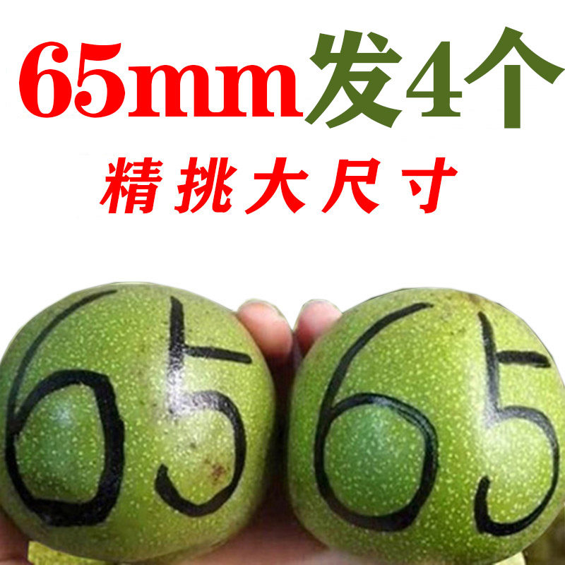文玩堂：龙公子高级文玩胡桃（人气王） 文玩堂：龙公子高级文玩胡桃