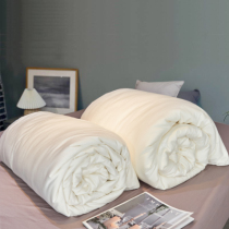 Silk Quilt Mother Quilt Two-in-one Thickened Warm Winter Quilt Core Whole Cotton Silkworm Filament Cotton Double Spring Autumn Quilted By Four Seasons