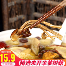 In the season farmers do not open umbrella sulfur tea mushrooms dry 100 grams of wild fresh soup nutritional soup