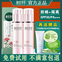 Ye herbal sunscreen Rhodiola white protective isolation cream two-in-one official flagship herb