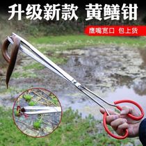 Stainless steel yellow eel clip long fish clip Litter Pliers Clip Hook Clip Clay Loach Finless Eel Yellow God Instrumental Outdoor Non-slip Snake