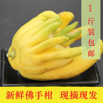 Fresh Golden bergamot bergamot fresh fruit super large bergamot for Buddha ornamental smell soak water five finger orange 1kg