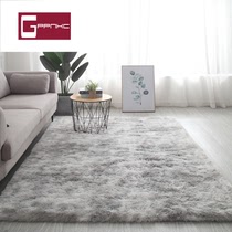 Carpet Nordic ins bedroom whole cute bedside carpet sleepy mat Net red modern living room coffee table blanket