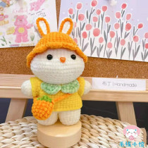 Spring Tours Rabbit Hands Small Paparazzi 118 Handmade Diy Crochet Wool Thread Weaving Tutorial Doll Eva electronic diagrams Unfinished products