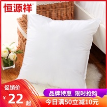 Hengyuanxiang cotton pillow core liner 40 45 50 55 60 65 backrest square pillow sofa cushion