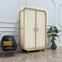 ins Wind Net Red single simple modern display wardrobe Nordic iron light luxury storage double-layer hanging wardrobe Princess