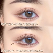 French Landing Light Concealer Beauty Pen Waterproof Matte Brightening Eyes Down to Silkworm Pen Eyeliner Glue Pen Female