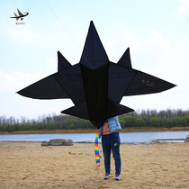 Weifang kite dance Tiancheng peoples large triangle black three-dimensional combat aircraft kite childrens cartoon with spool