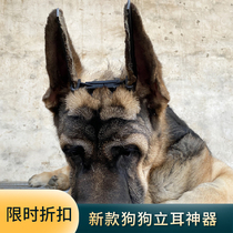 Alaska Shepherd Supplies Glue Vertical Ear Stickler to Correct Ear Instrumental Gidola to apply teddy pets