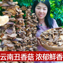  Basswood wild small dried shiitake mushrooms Dry premium bulk 500g household non-Qingyuan Shiitake mushrooms