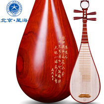 Xinghai Pipa musical instrument rosewood polishing 8912-2 Pipa national musical instrument professional performance free accessories