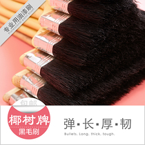 Coconut brand professional paint black brush water-based paint paint brush does not fall off the brush 12345678 inch and a half