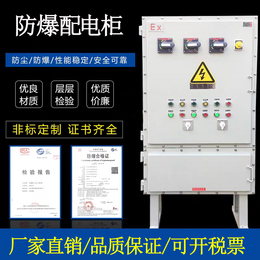 Carbon steel stainless steel explosion-proof switchboard power lighting control cabinet variable frequency activation cabinet touch screen instrument instrument instrument instrument cabinet
