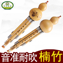 Southern Yunnan Silk Rhyme Nanzhu Hulusi Musical Instrument Beginner C Down B Tunnus Primary School Children Adult Beginner Hulusi
