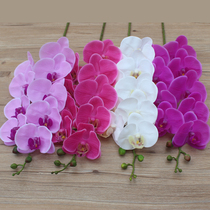  High-end PU feel simulation butterfly orchid single branch anti-real flower floor decoration decoration living room decoration silk flower fake flower