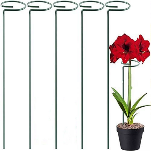 Поддерживающий полюс Zhu Ding Red Hydrangea phalaenopsis stent Stent фиксированная крышка виноградные лозы