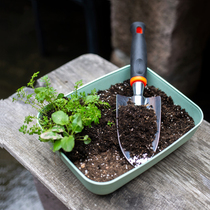 Potted small shovel seed flowers raised flowers iron shovel pine soil flower shovel gardening to grow three sets Home Multi-meat tool kit