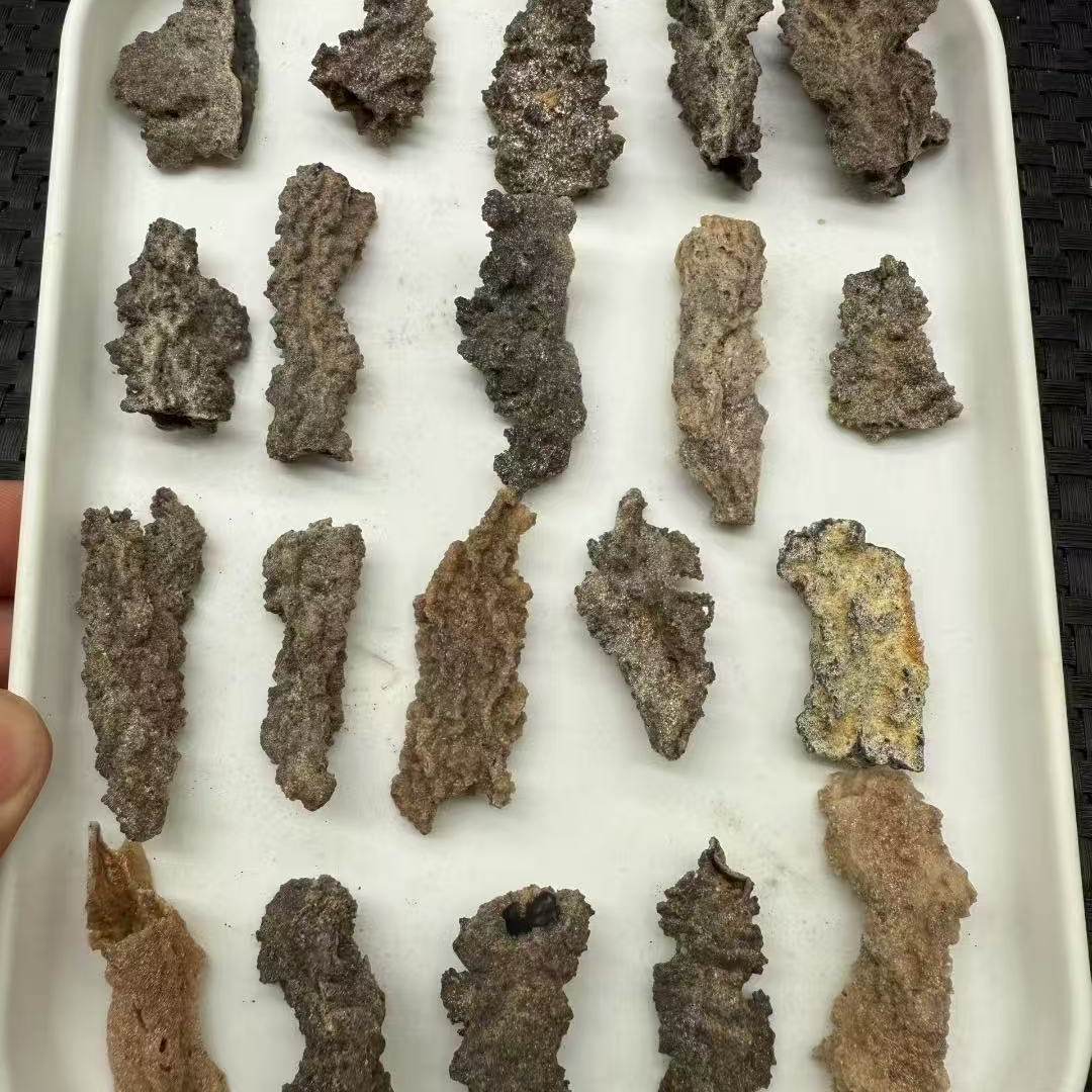 白珊瑚化石-白珊瑚化石促销价格、白珊瑚化石品牌- 淘宝