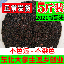 Northeast farmers produce their own fresh black rice five pounds of five grains coarse grains black fragrant rice porridge bulk black rice non-10 pounds