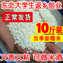 Northeast farmhouse self-produced new glutinous rice 10kg round grain bulk grain White River Rice incense Rice rice sticky rice rice sticky rice