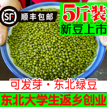 Northeast small mung bean farmers produce fresh 5 pounds of whole grains whole grains porridge sprouts special bulk beans