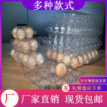 Factory direct sales of soil egg tray transparent plastic disposable outdoor drop-proof tray box portable 1030