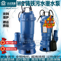 Dayuan cast iron sewage pump household septic tank biogas tank sewage pump 220V380V non-clogging sewage lifting pump