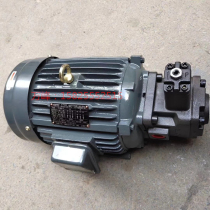 Oil pump motor unit 0 75KW VP15 1 5KW VP20 2 2KW Round key spline
