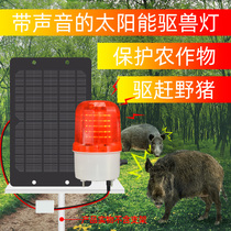 Scared Wild Boar with Sound Night Outdoor Insect Repellent for Wild Boars Solar Lights Wild Boasts Beast Birds Beast