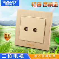 86 type concealed two-position TV socket dual TV cable socket Wall dual TV socket Champagne gold brushed