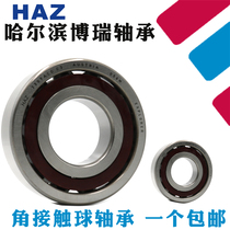 Harbin HAZ bearing 7300 7301 7302 7303 7304 7305 7306 7307 AC ACM