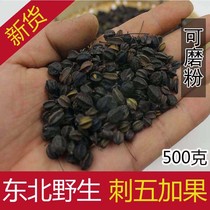 Wild Changbai Mountain Natural Acanthopanax Wujia Seed Grade Fruit Tea Acanthopanax Wujia Fruit 500g Anshen Tea Acanthopanax