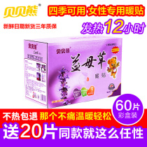 Pat 40 hair 60 Beibei bear motherwort warm baby warm palace warm palace warm palace cold warm body warm menstrual shoulder neck