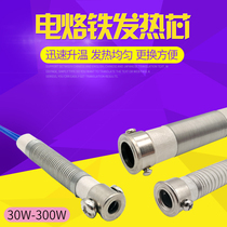 Persian soldering iron core external heating 60W internal thermoelectric soldering iron Mica heating core 30W40 80 100 200 300W