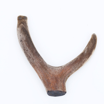 (Renhe whole antler weighs 85 yuan a gram and starts at 100 grams) Northeast specialty deer antler whole sika deer
