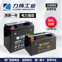 Liyang motorcycle battery 12v maintenance-free dry battery 125 bending beam 12 volt 9a7a scooter Universal
