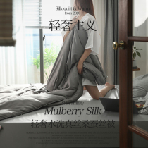 Double Palace cocoon mulberry silk quilted by 100% mulberry silk quilts autumn and winter cool by single air conditioning by the winter spring and autumn by the core winter