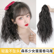 Xiao Qi Sen department egg roll shark clip ponytail wig female summer simulation natural net red catch clip short curly ponytail