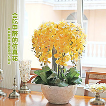 Hejia yellow simulation flower Phalaenopsis pot pot flower pot set Dried flowers fake flowers Silk flowers Entrance decoration flower decoration