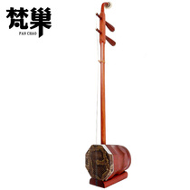 Vatican Nest brand Hebei adult mahogany beginner practice Zhonghu musical instrument band troupe performance Qin ZH01