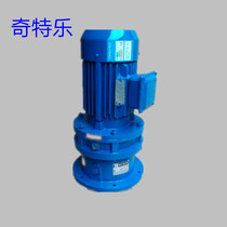 Cycloid pin wheel reducer vertical XLD5-7-9-11-17-23-29-35-43-59-71-87-2 2KW