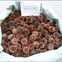 Dried fruit mixed pine balls local pine fish scales pine cones a variety of dried flower packages decoration materials bark wood silk filling