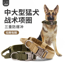  Dog collar Medium and large dog collar German horse dog neck ring Fierce dog special big dog ring Golden retriever collar traction rope