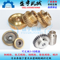 Copper Worm Gear Reducer Model WPA120 Iron Core Clad Copper Worm Gear Steel Worm Gear Copper Clad Iron Worm Gear