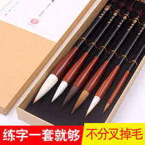 Brush set gift box pure wolf Chinese painting first level and single sheep and small sheep purple black pen small Kai pen small letter set of beginner calligraphy teaching copy of meridian line draft regular script professional soft pen