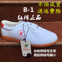 Special cotton first-class beef tendon spring and summer martial arts canvas Taiji shoes delivery insurance
