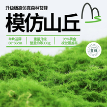 Simulation plant landscaping moss rockery micro-landscape garden courtyard landscape potted green plant pavement decoration ornaments