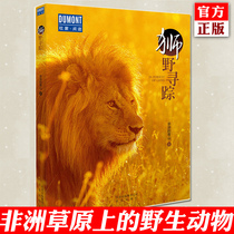 The Genuine Lion Wild Trace of Africas Qingshan Africas Qingshan Chiunrai Conference Maadong Diplomas to the Chinese Lion King Tanzania Cheetah Lions Animal Science Documentary Real Literary Fiction Books to